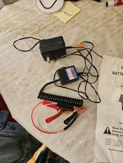 Car Battery Float Charger