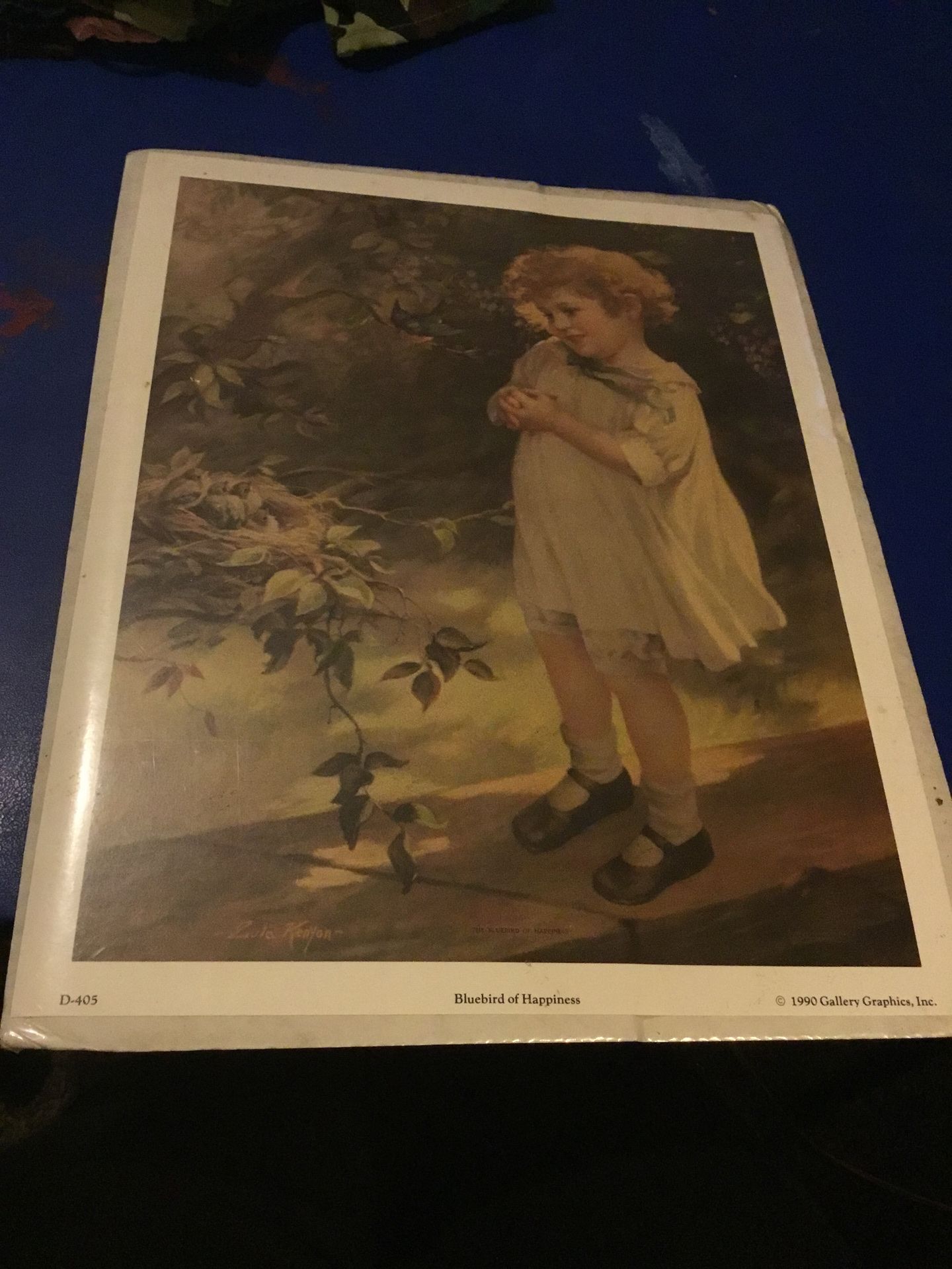 1990 Bluebird of Happiness poster