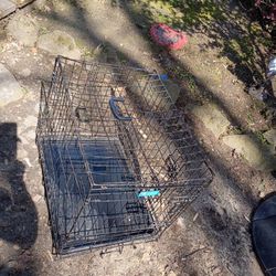 Dog Kennel 