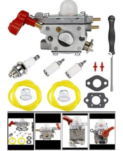 Carburetor Fuel Line kit