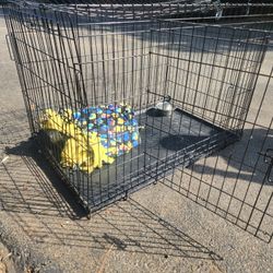 Dog Cage 