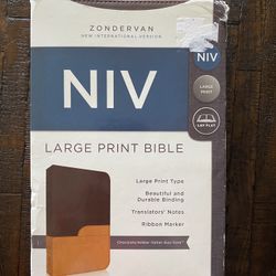 Bible - Zondervan New International Version (NIV) Large Print Bible (NEW)