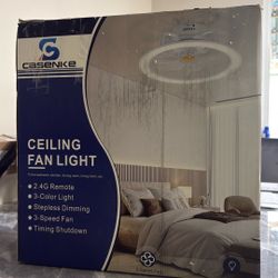 Led Fan Light 
