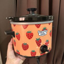 2 quart Slow Cooker