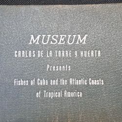 Memorabilia 