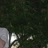 Andy Alf