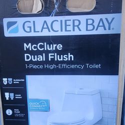 Glacier bay Toilet