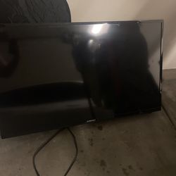 42 In. Tv