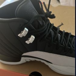 Jordan 12s 
