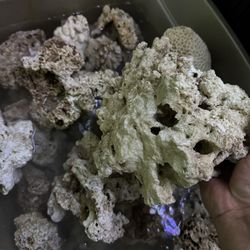 Fish Tank Aquarium Reef Rock Salt Water 