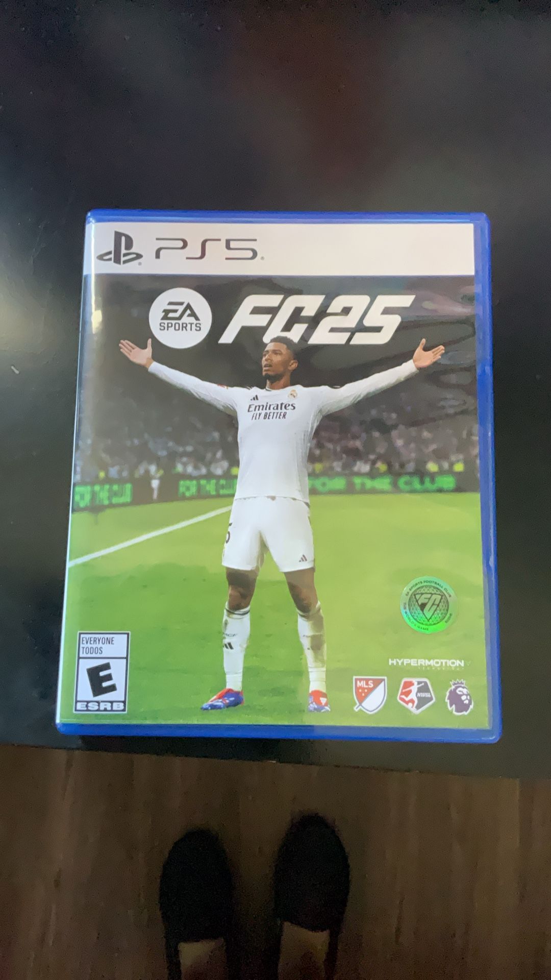 FC 25 (PS5)
