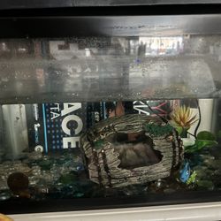 Fish Tank