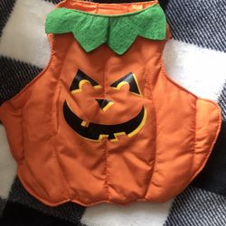 Pumpkin Dog Costume