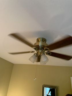 Ceiling Fan $20