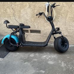 Fat Tire Scooter