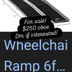 Portable Wheel Chair Ramp