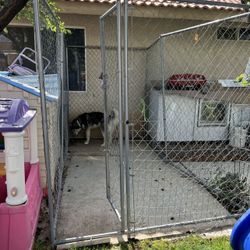 Dog cage