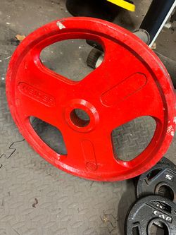 45 lb plate