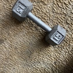 15lbs Weight Dumbbell 