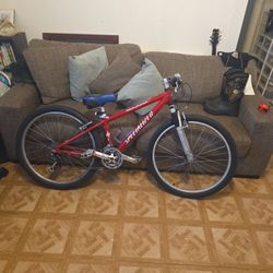 Specialized Rock Hopper Mountain Bike 