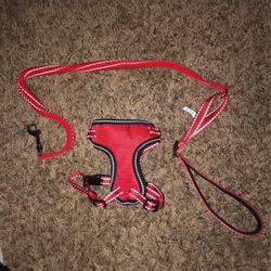 Cat leash