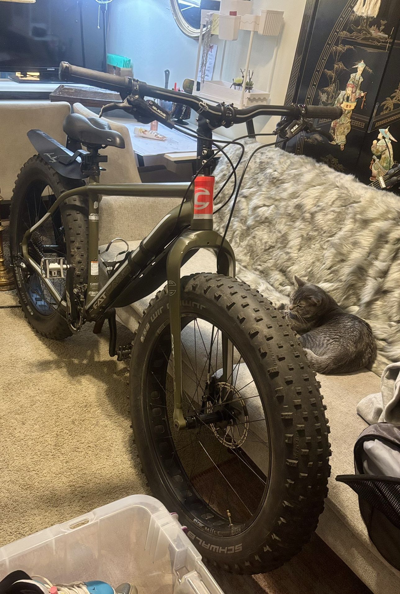 FAT CAAD 2 Cannondale Bike With Fenders! Need Gone Asap!