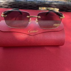 Cartier Glasses / Shades 