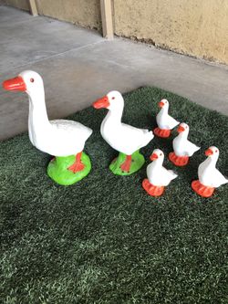 Ducks
