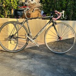 2013 Specialized Full Carbon Fiber