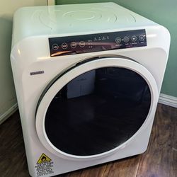 Panda 13.2 lbs Capacity Electric Compact Portable Dryer