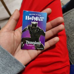 1 Disneyland Ticket 