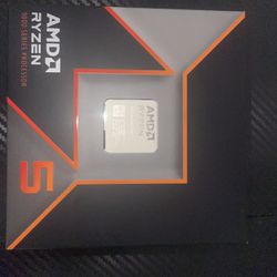 AMD Ryzen 5 9600x CPU