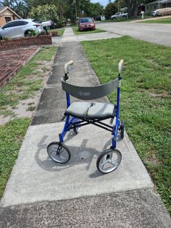 Large  walker