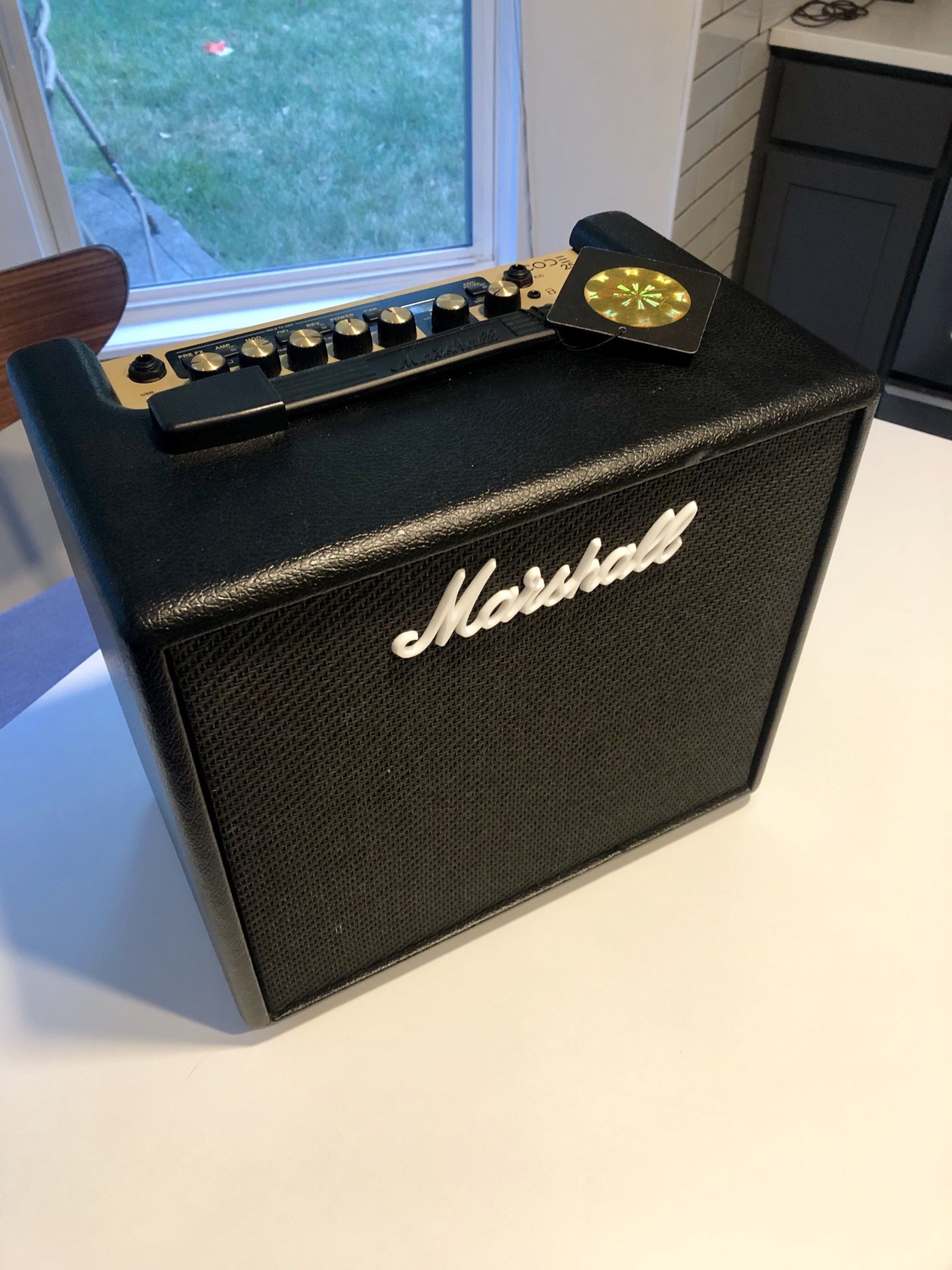 Marshall 25w Amp