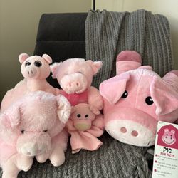 Stuffed Animals - Pigs 