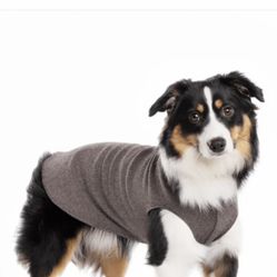 Dog Fleece 