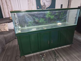 Fish tank