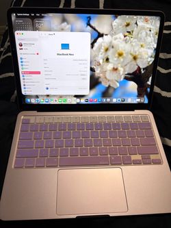 Apple Neo Rose