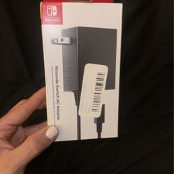Nintendo Switch Charger 