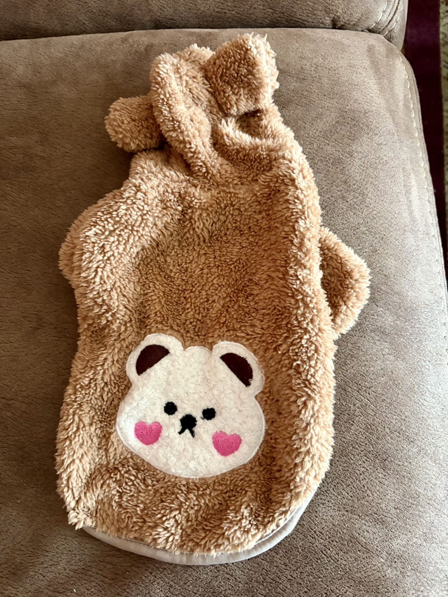 Dog Teddy Bear Hoodie Or Costume Size M For About 5-7 Pound Dog