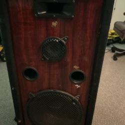 Vintage: Welton Pro  Studio Subwoofer Speaker