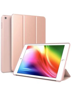 iPad Case