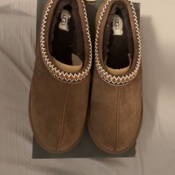 Tasman Uggs