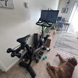 Peloton Bike with Mat, Weights and Accessories
