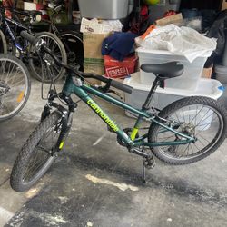 Cannondale Kids Bike