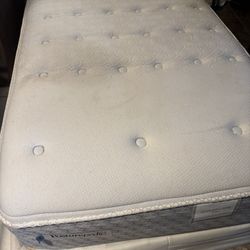 Twin Size Bed With Frame 