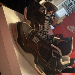 starfish 4s