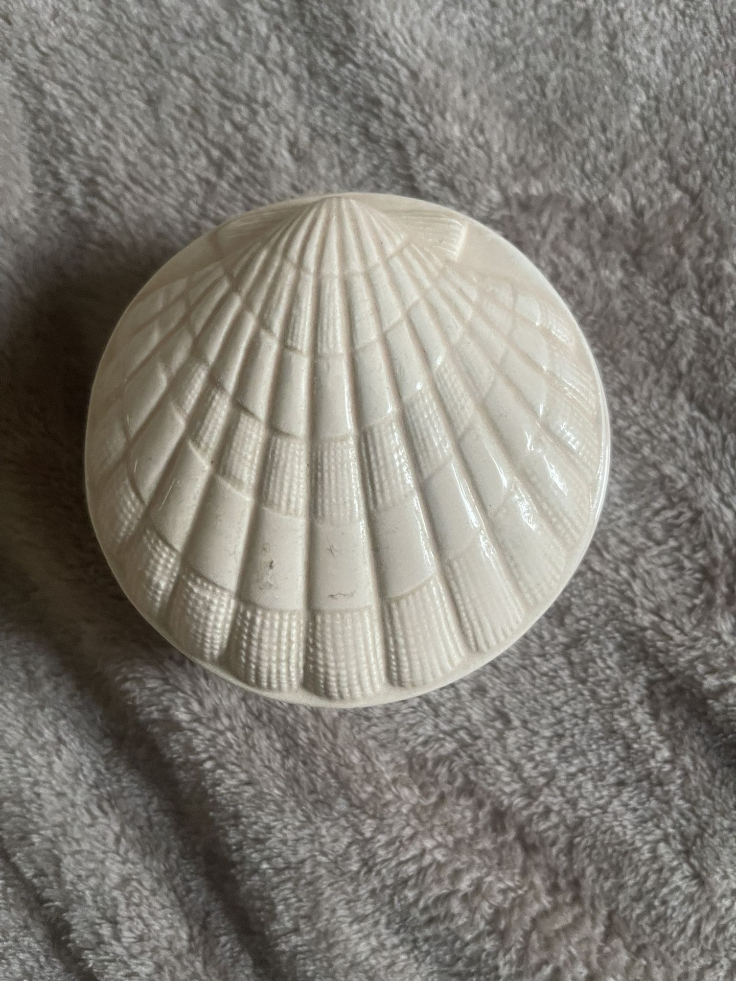 Adorable Shell Trinket Dish