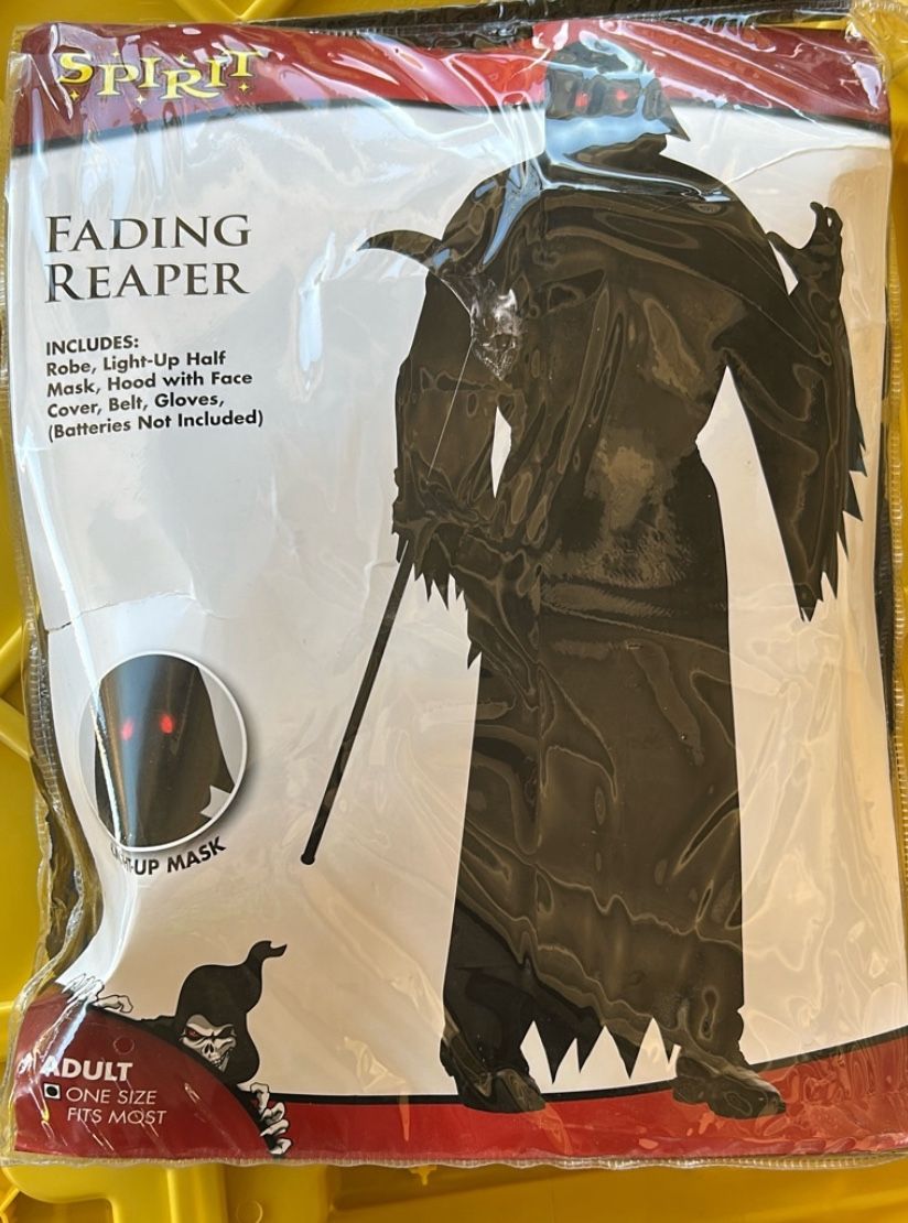 Fading Reaper Costume