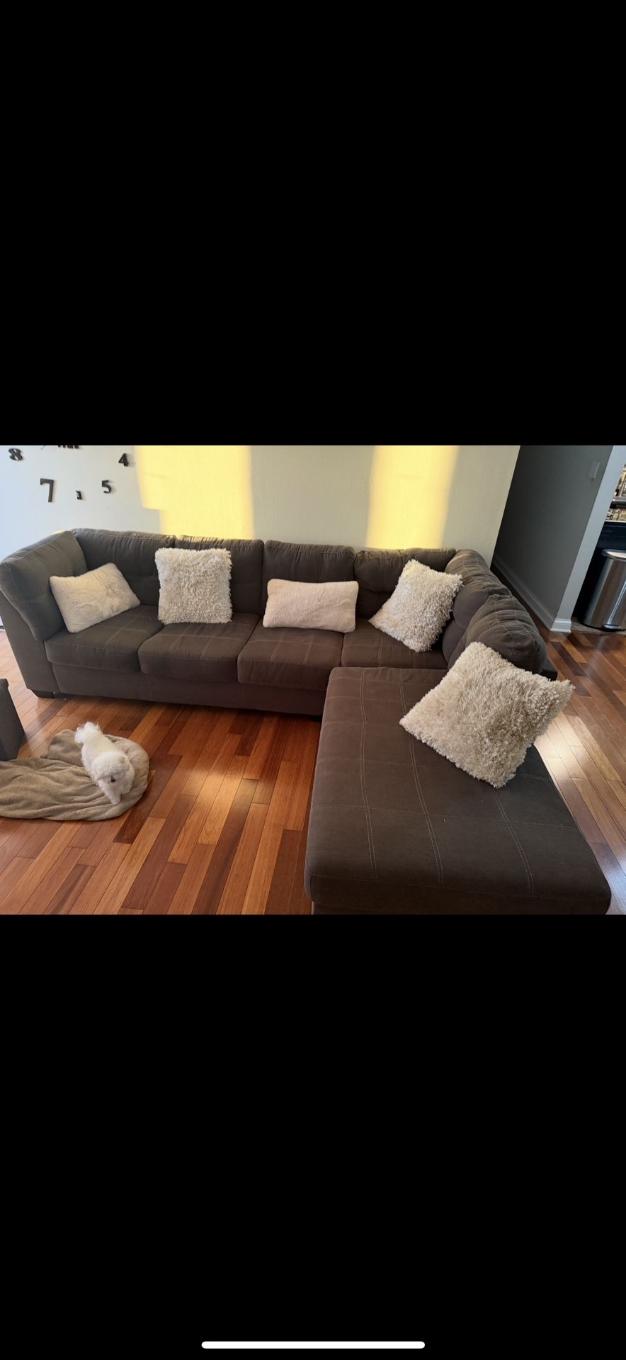 L Shape Couch